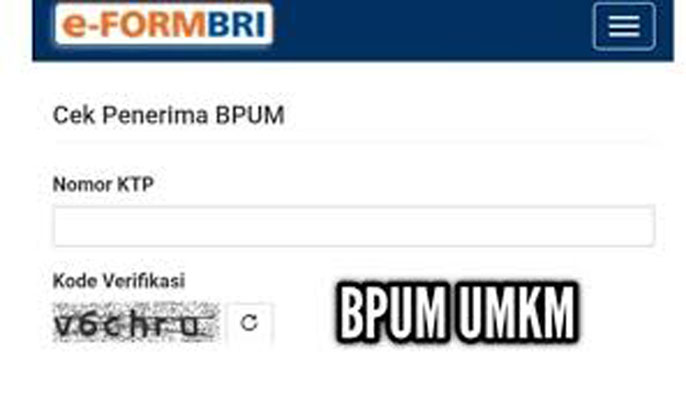 link-umkm-2021-login-httpseformbricoidbpum-cek-penerima-bantuan-bpum-umkm-rp-24-juta.jpg