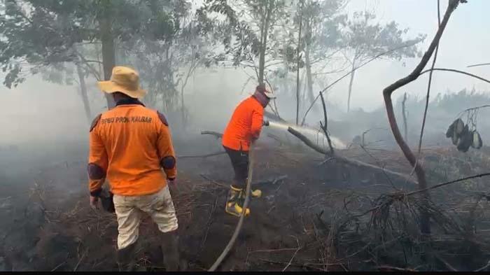 BPBD Kalbar sudah Berkirim Surat ke BNPB untuk Bantuan Helikopter Patroli Udara, dan Water Bombing