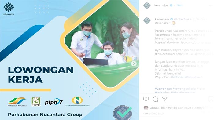 lowongan-bumn-terbaru-pt-perkebunan-nusantara-buka-rekrutmen-nih-yuk-coba-loker-ptpn-berikut.jpg