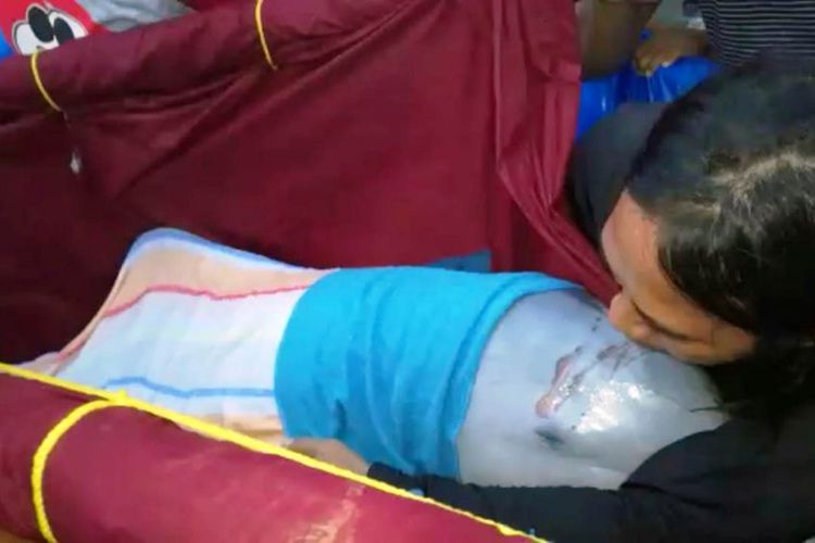 Viral Sepasang Lumba-Lumba Berenang di Sungai Kualuh Sumut, Penyelamatan Berakhir Dramatis