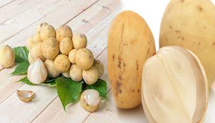 manfaat-buah-duku-untuk-ibu-hamil.jpg