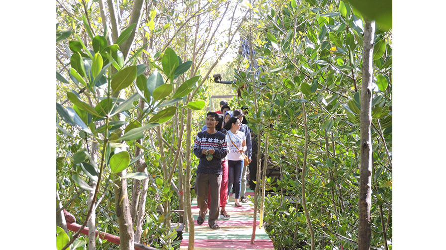 mangrove-di-kabupaten-mempawah.jpg