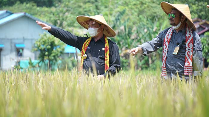 mentan-ri-syahrul-yasin-limpo-bersama-wagub-kalbar-ria-norsan.jpg