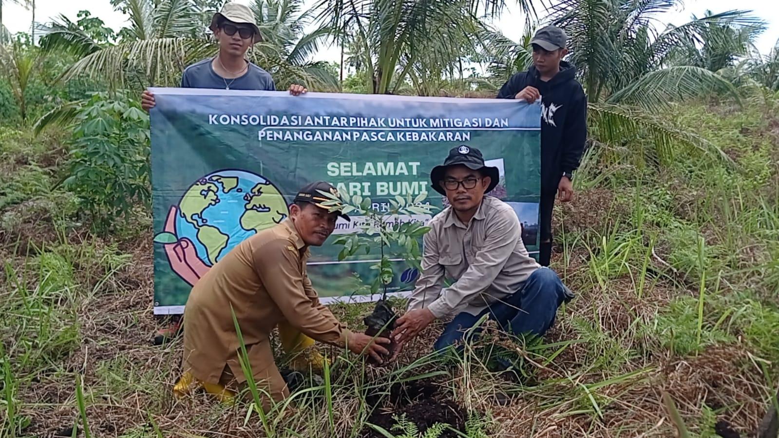 Mitigasi Penanganan Usai Kebakaran, Desa Merubung Sambas Tanam Pohon di Lahan Gambut