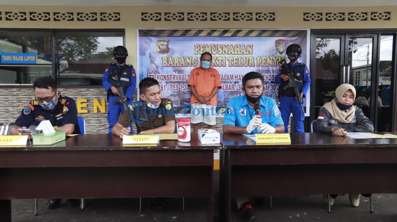 FOTO : Pemusnahan Barang Bukti Penyelundupan Telur Penyu di Kantor Polair Polda Kalbar