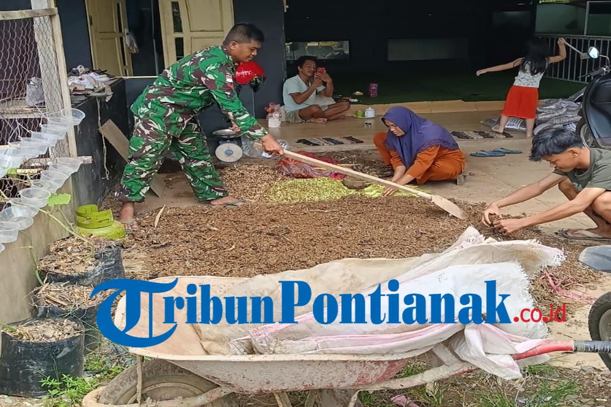 Prajurit TNI Ajari Warga Putussibau Utara Buat Kompos Tanaman 