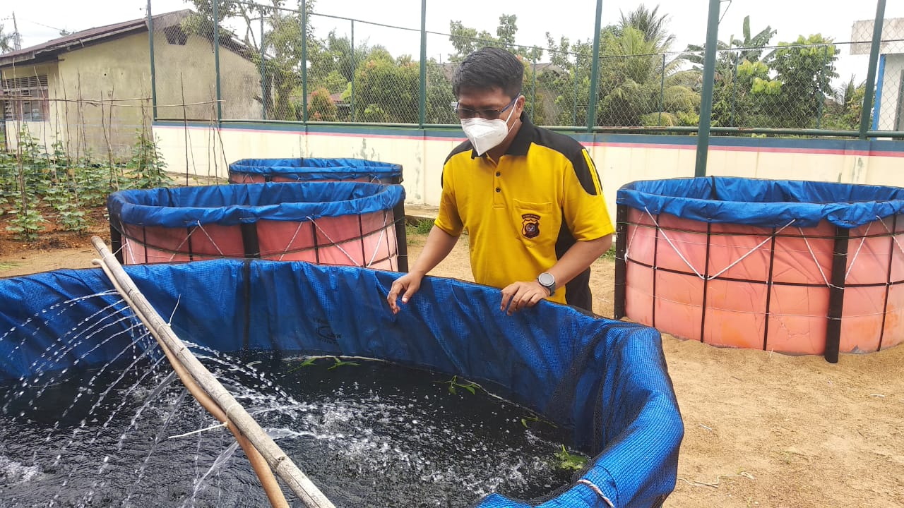 Jaga Ketahanan Pangan, Ditpolairud Polda Kalbar Budidaya Ikan dan Bercocok Tanam
