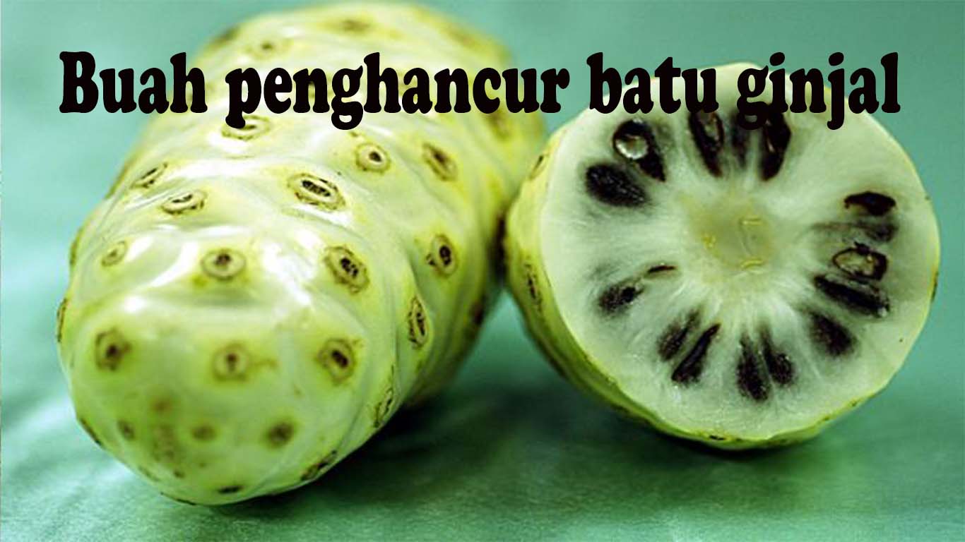 obat-alami-buah-penghancur-batu-ginjal.jpg