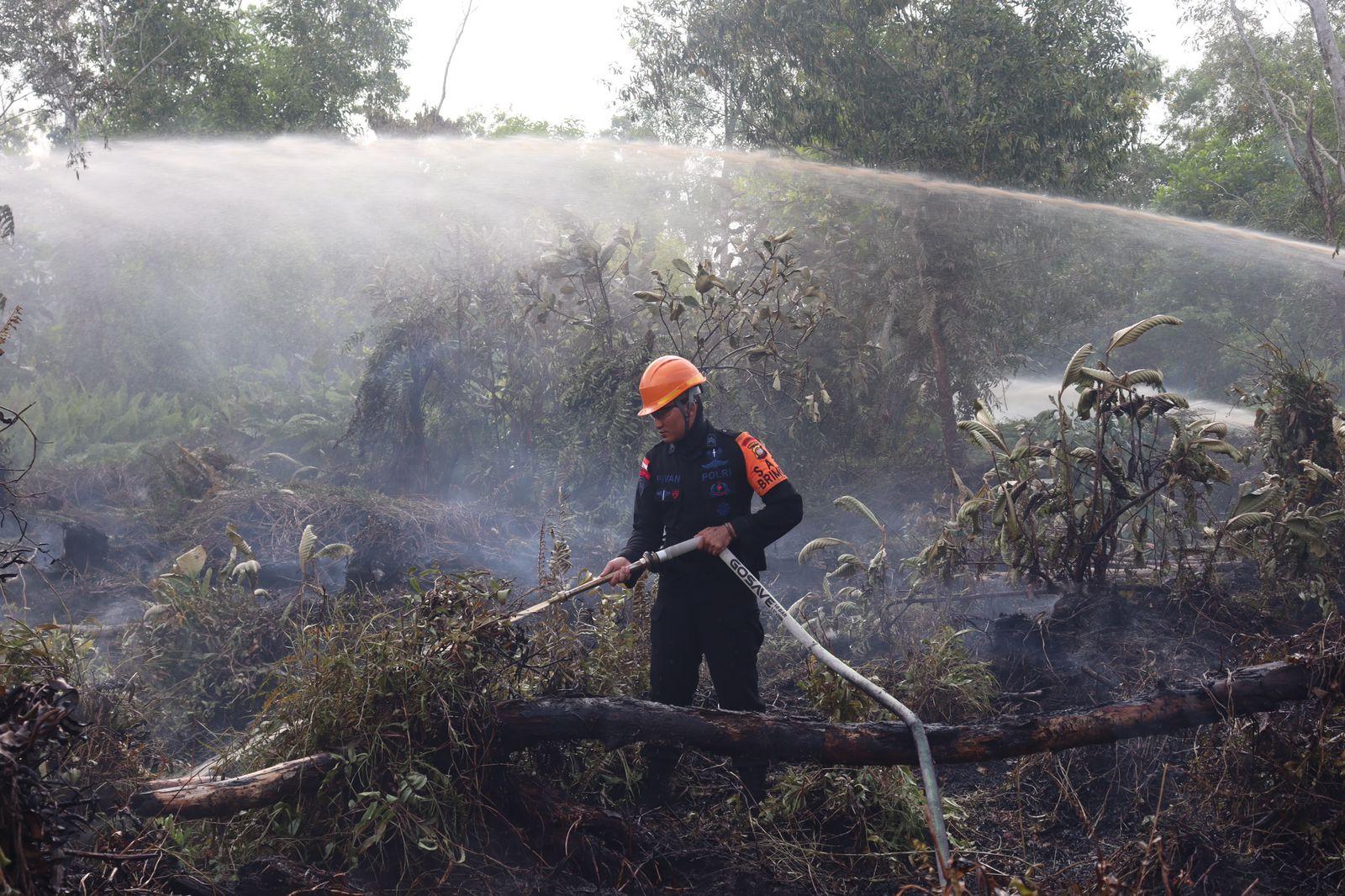Aksi Cepat Personel Brimob Kalbar Padamkan Api Karhutla di Kota Singkawang