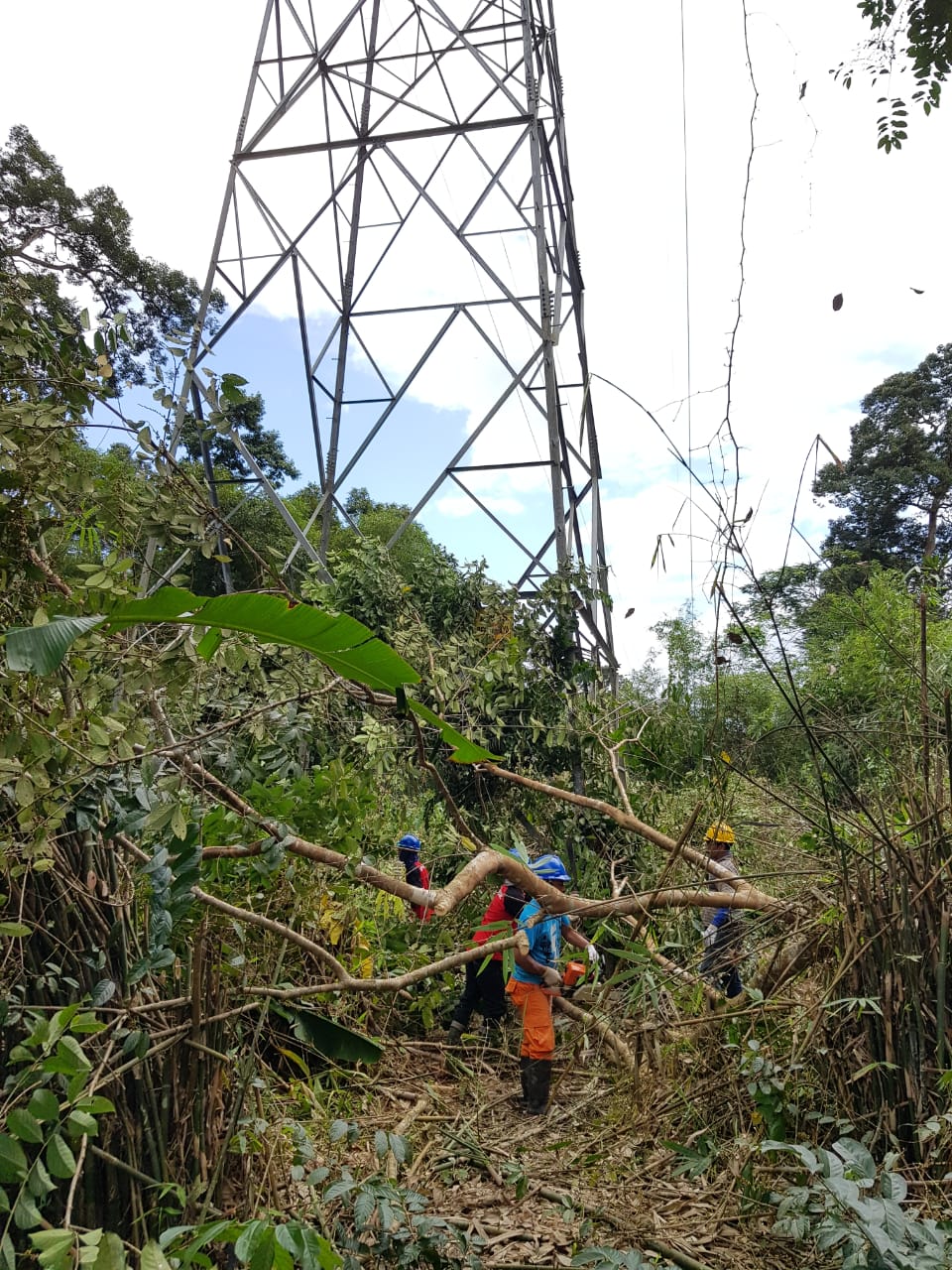 Amankan Pasokan Listrik, PLN UP3B Kalbar Lakukan Inspeksi Rutin Jalur Transmisi