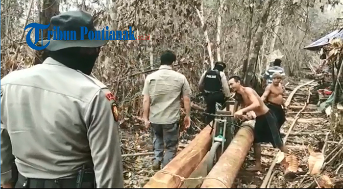 pekerja-tak-berkutik-saat-polisi-gerebek-aktivitas-diduga-ilegal-logging-di-kubu-raya.jpg