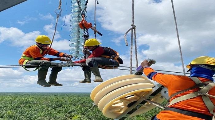 PLN Bangun SUTT Pangkalan Bun-Sukamara Hubungkan Kalbar-Kalteng, Progres Capai 80 Persen