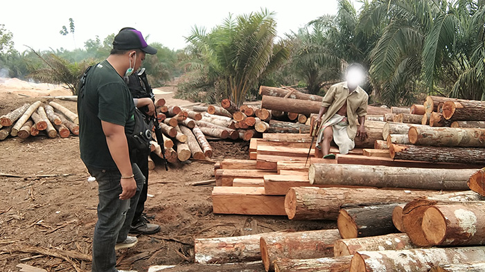 penggerebekan-aktivitas-illegal-logging.jpg
