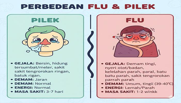 penyakit-musiman-seperti-Flu-dan-Batuk.jpg