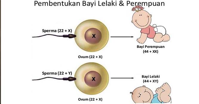 Porno jinsiy aloqa BDSM qiynoqlari Yuliya Peresildning erotik fotosuratlari