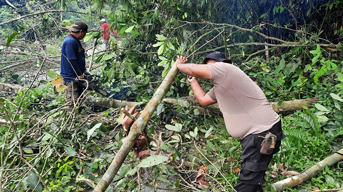 Upayakan Keamanan Pengguna Jalan, Polsek Sekadau Hilir dan Warga Tebang Pohon di Pinggir Jalan