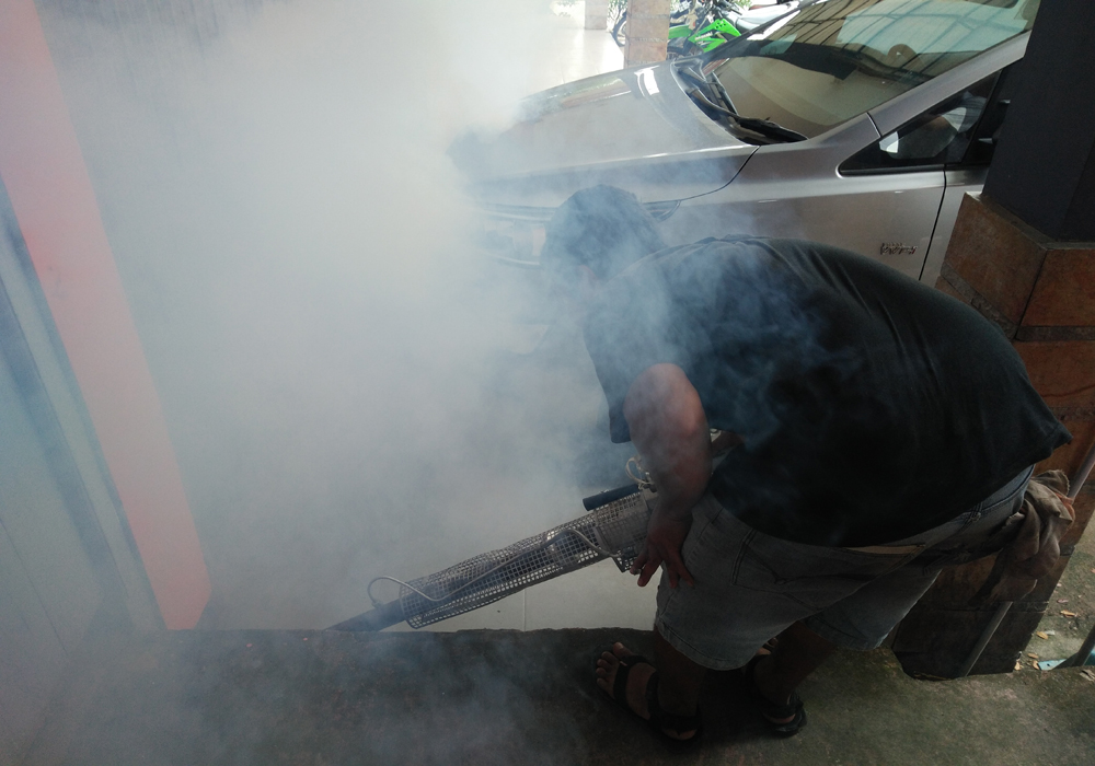 Selama 2018, Ada 35 Pasien DBD di RSUD Kayong Utara