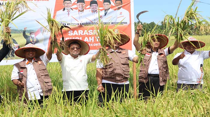 pks-kalbar-melaksanakan-panen-perdana.jpg