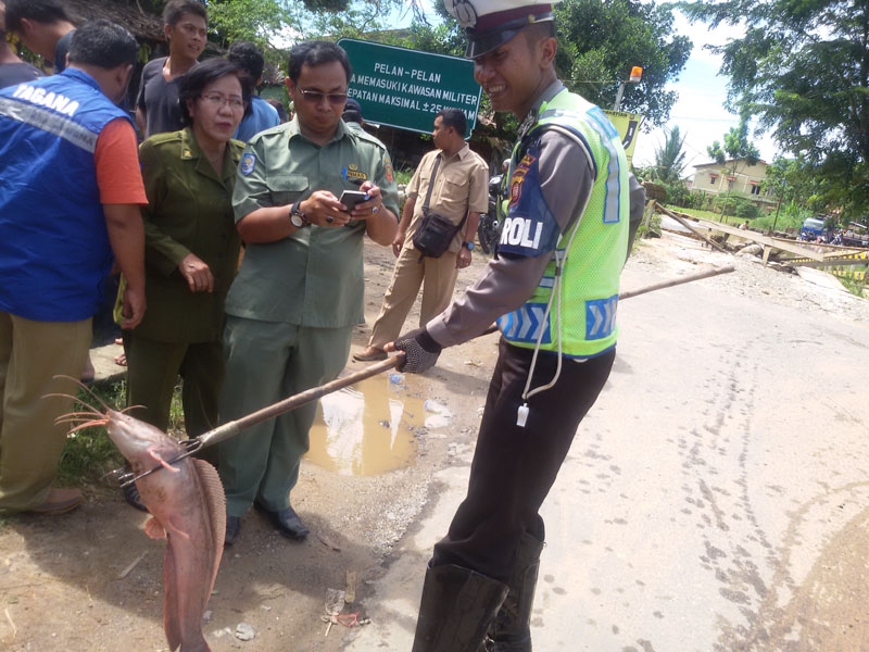 Singkawang Banjir, Polantas Berfoto dengan Lele Tangkapan Warga