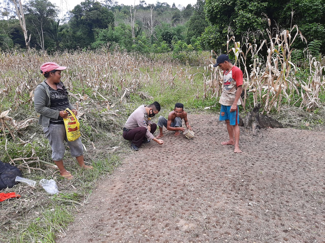 Bhabinkamtibmas Polsek Lumar Bengkayang Dukung Program Ketahanan Pangan