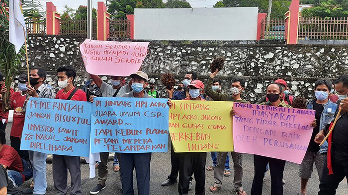 Demo ke DPRD Sintang, Berikut Tuntutan Aliansi Petani Plasma Borneo, Ancam Tutup Jalan Perusahaan