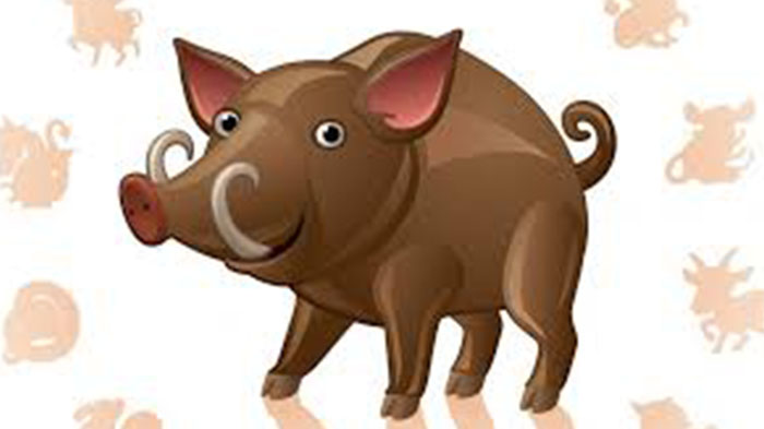 Ramalan Shio 8 Mei 2021 dan Peruntungan Shio 8 Mei 2021