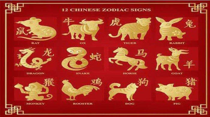 Shio Besok Rabu 6 Juli 2022, Peluang Baru Shio Tikus & Hati-hati Pengeluaran Tak Terduga Shio Kuda