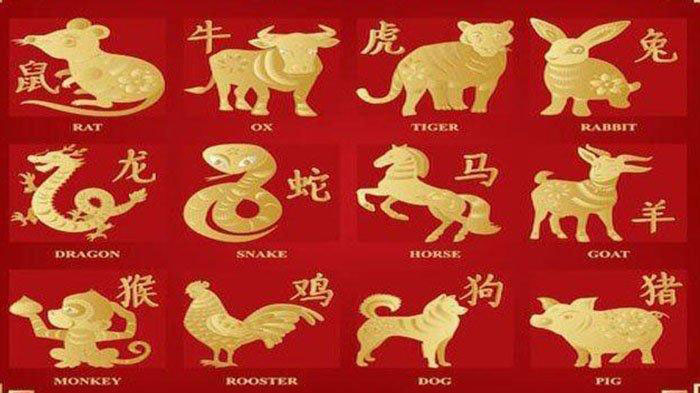 Ramalan Bintang Zodiak Cinta Lusa Senin 2 Mei 2022, Kebahagiaan Asmara Shio Ayam Peluang Shio Kerbau