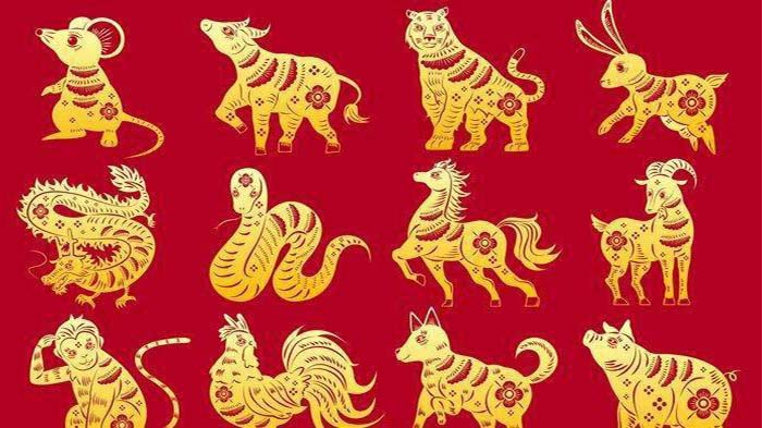 RAMALAN SHIO Lusa Senin 6 Desember 2021, Luangkan Waktu Shio Ayam & Percaya Dirimu Shio Kerbau