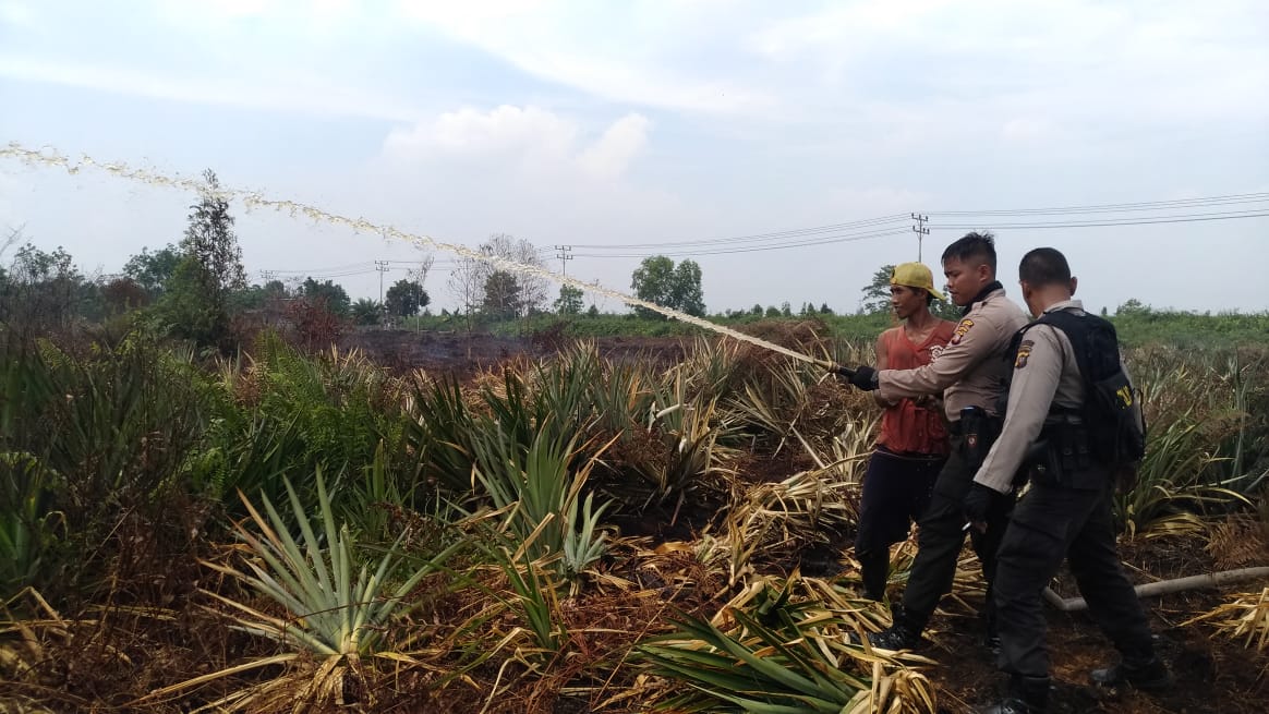 Sat Sabhara Polres Mempawah Turunkan Damkar Mini, Padamkan Api di Kebun Nanas Warga Moton Panjang