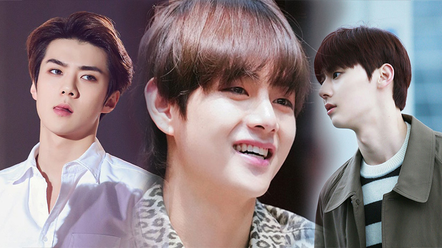 Idol K-Pop yang Punya Hidung Seperti Orang Barat Versi Netizen Korea, Idolamu Termasuk?