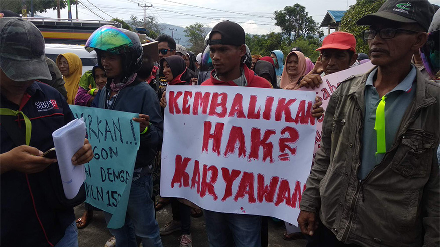 BREAKING NEWS - Ratusan Mantan Buruh PT KAP Demo Kantor DPRD Kayong Utara