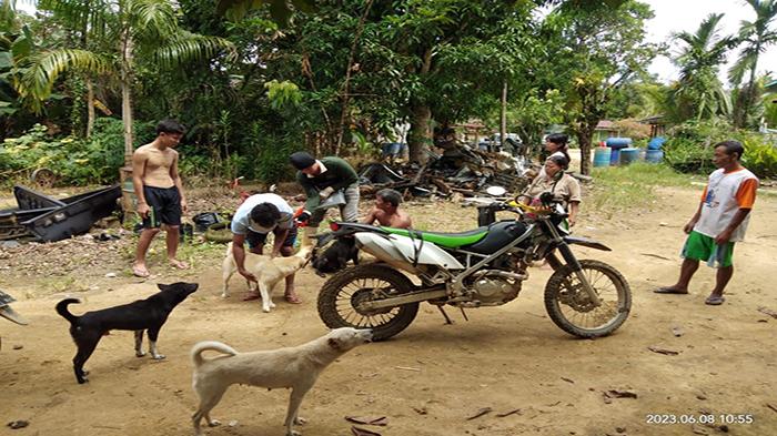 448 Kasus Gigitan, 8 Orang Meninggal, Pemkab Sintang Akan Eliminasi Anjing Liar Mulai 20 Juli 2023