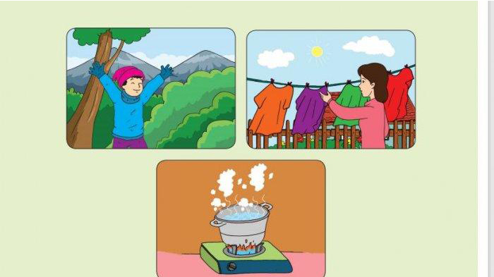 KUNCI Jawaban Tema 6 Kelas 5 Hal 3 4 5 6 7 8 9 Mengapa Api Sangat Penting Dalam Kehidupan Manusia