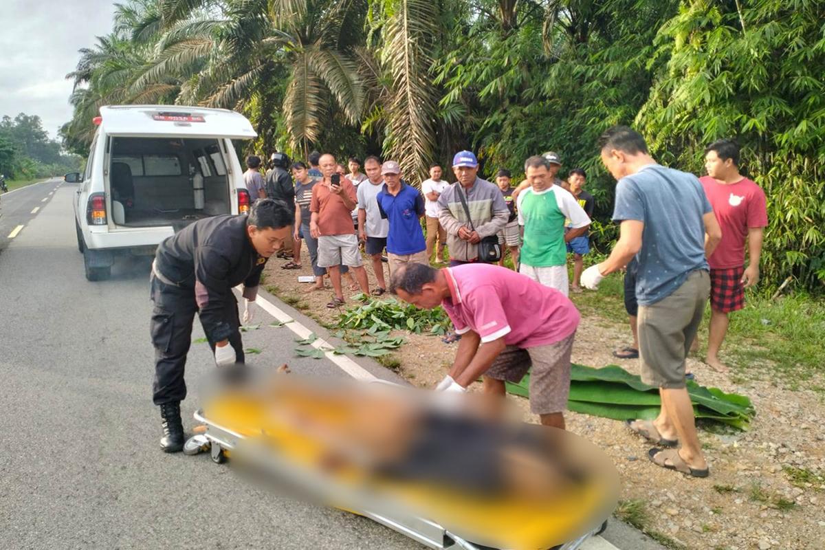 Polisi Lakukan Penanganan Awal dan Penyelidikan Dugaan Tabrak Lari di Jalan Raya Bodok-Sosok 