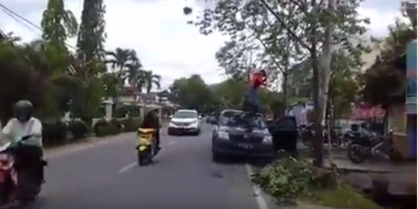 Tebang 8 Pohon Tanpa Izin, Satpol PP Tipiring Warga