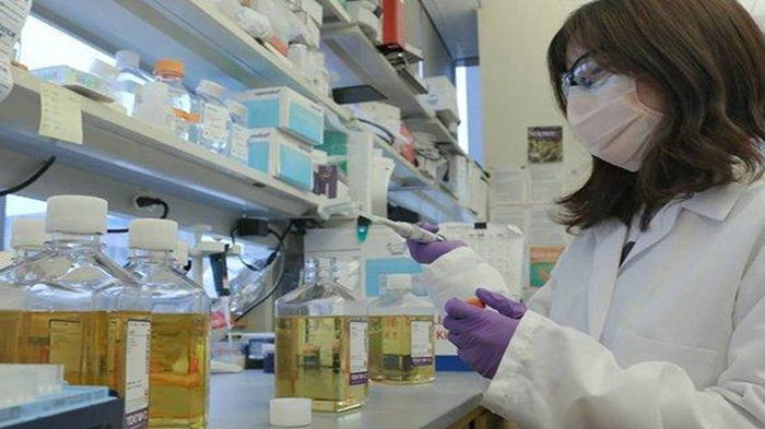 Update Corona Kalbar - Terbaru PDP Usia 14 Tahun Meninggal Dunia, ODP 3.311, PDP 17 dan Positif 9