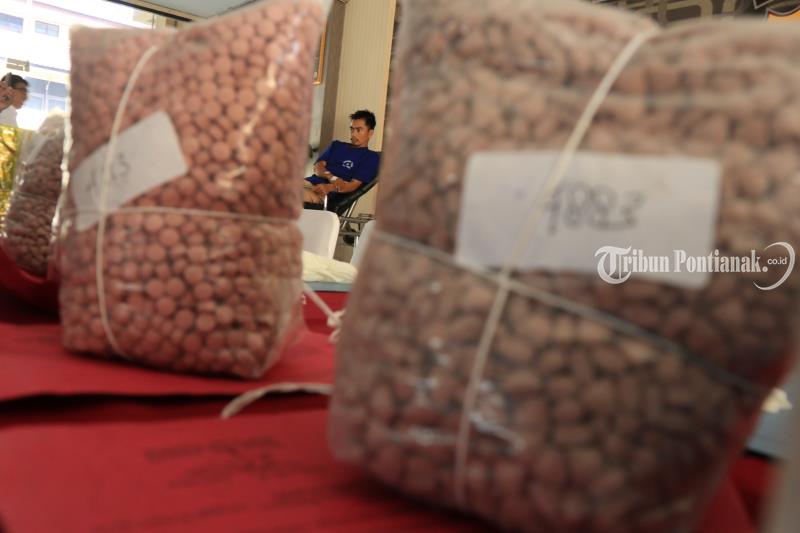 FOTO: Polda Kalbar Rilis Penangkapan Kasus Narkoba dari Tersangka Diantaranya Sepasang Suami Istri - timsus-direktorat-narkoba7.jpg