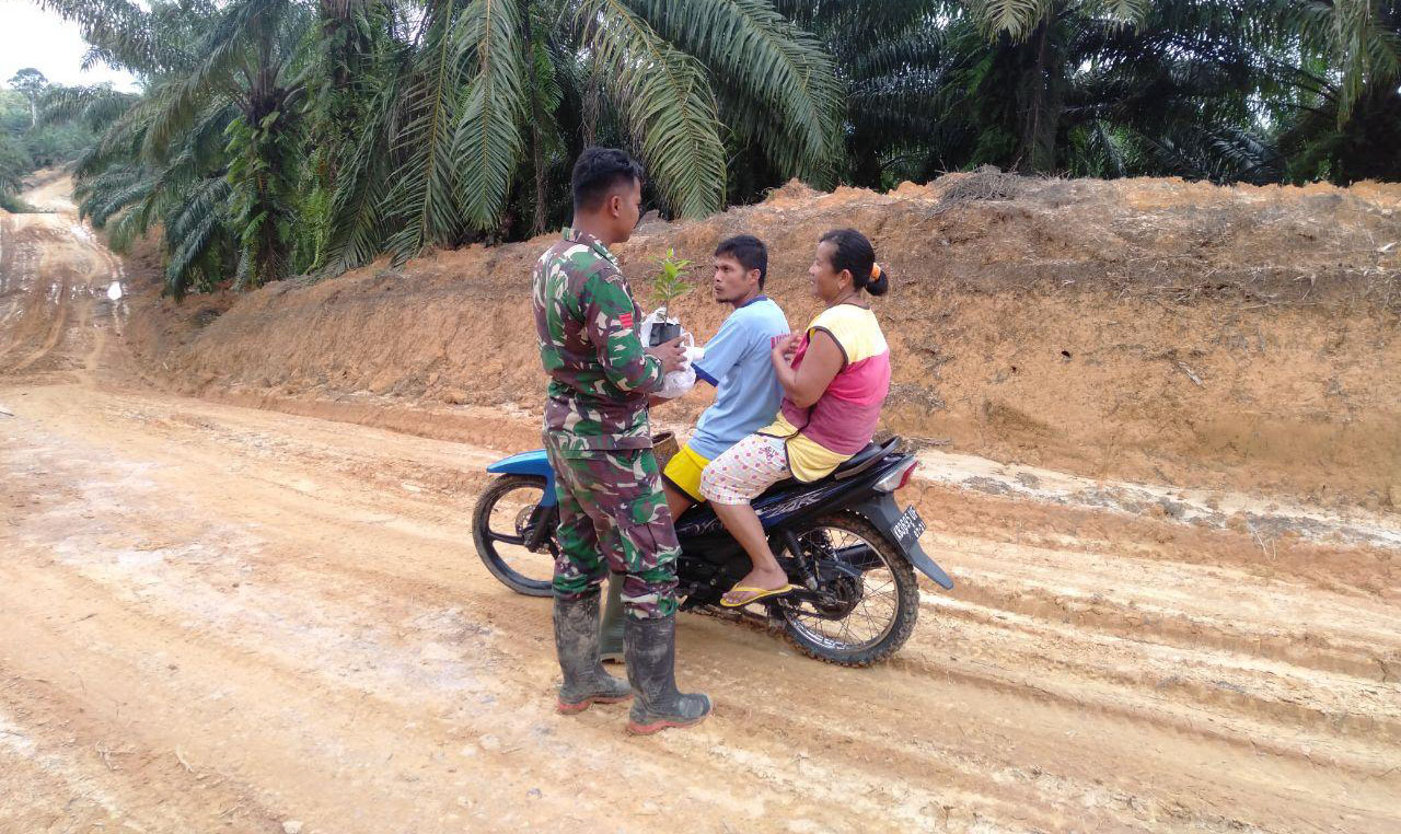 Satgas TMMD Kodim Sanggau Bagikan Bibit Tanaman kepada Warga