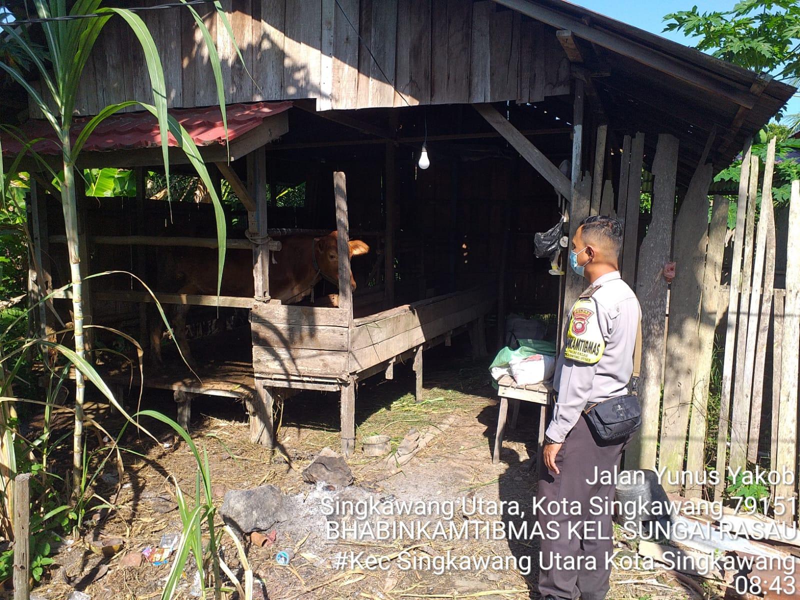Bhabinkamtibmas Polsek Singkawang Utara Sambangi Pemilik Ternak, Sosialisasi dan Edukasi Terkait PMK