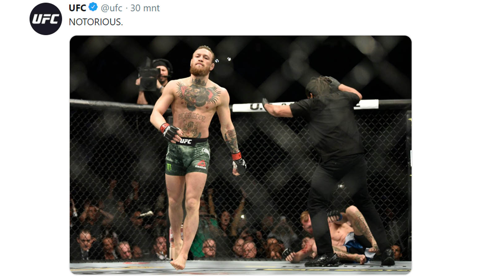 video-detik-detik-mcgregor-kalahkan-donald-cerrone-tanpa-ampun.jpg