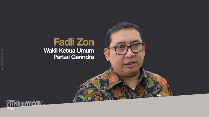 wakil-ketua-dpr-ri-dari-gerindra-fadli-zon.jpg