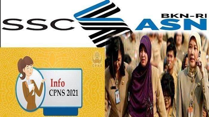 waktu-sanggah-cpns-kapan-masa-sanggah-cpns-berakhir-cek-jadwal-pengumuman-hasil-sanggah-cpns-2021.jpg