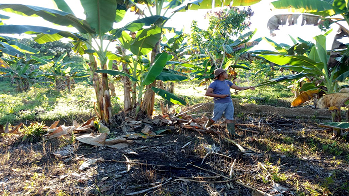 Anggota Polres Melawi Aipda Najahi Ajak Masyarakat Dukung Pemerintah Dalam Hal Ketahanan Pangan
