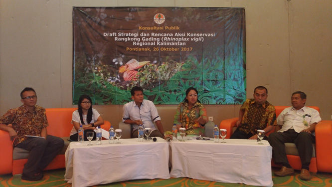 Pemerintah Indonesia Usulkan Resolusi Konservasi Rangkong Gading Pada Dunia