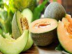11-manfaat-buah-melon-untuk-kesehatan-bebas-lemak-tak-bikin-kegemukan.jpg
