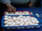 161-telur-penyu_20160730_135127.jpg