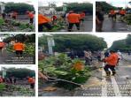 BPBD Pontianak Tangani Pohon Tumbang hingga Kebakaran di Tengah Hujan Deras