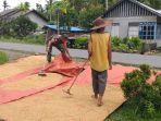 Anggota-Bintara-Pembina-Desa-Babinsa-Koramil-04Jawai-Serda-Darlius-membantu-petani.jpg