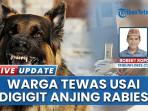 Anjing-Rabies-Gigit-Pemilik-hingga-Tewas-di-NTT-Lalu-Dimakan-Bersama-Tetangga.jpg